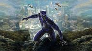 Black Panther | Image via Hotstar